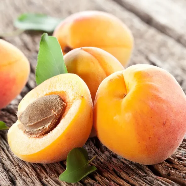 Apricot