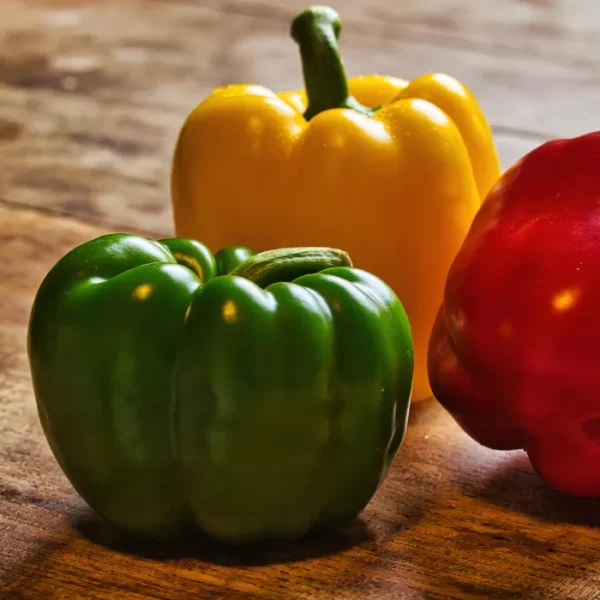 Bell pepper