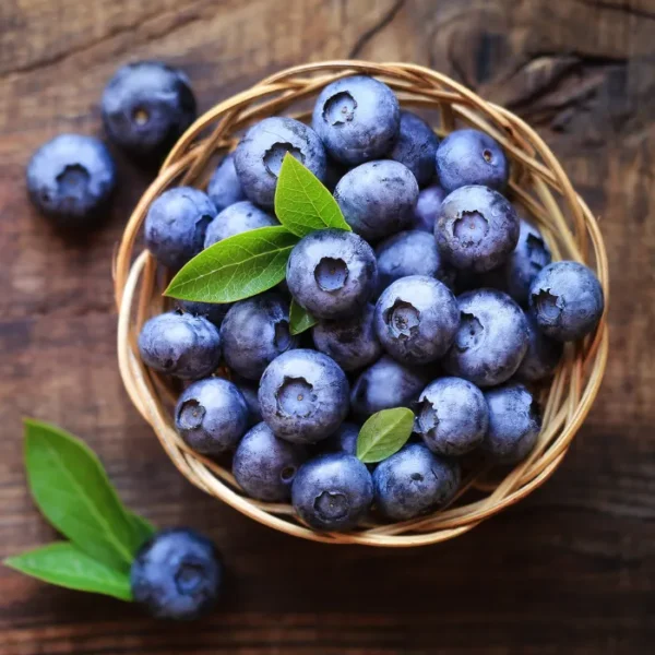 Blueberry