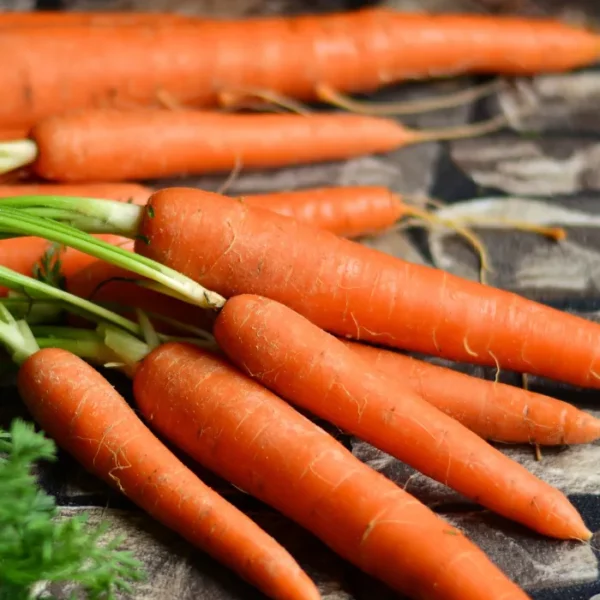 Carrot