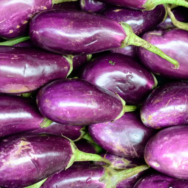 Eggplant