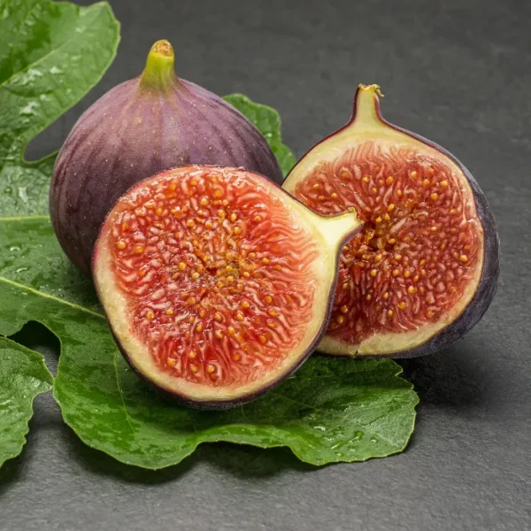 Fig