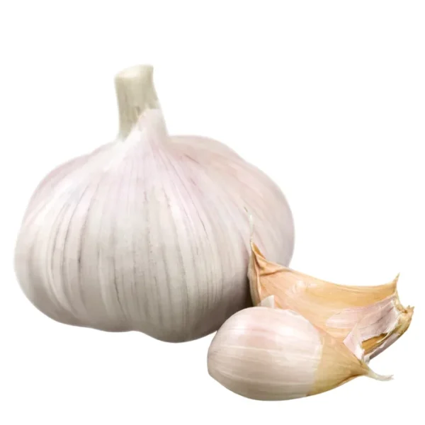 Garilc