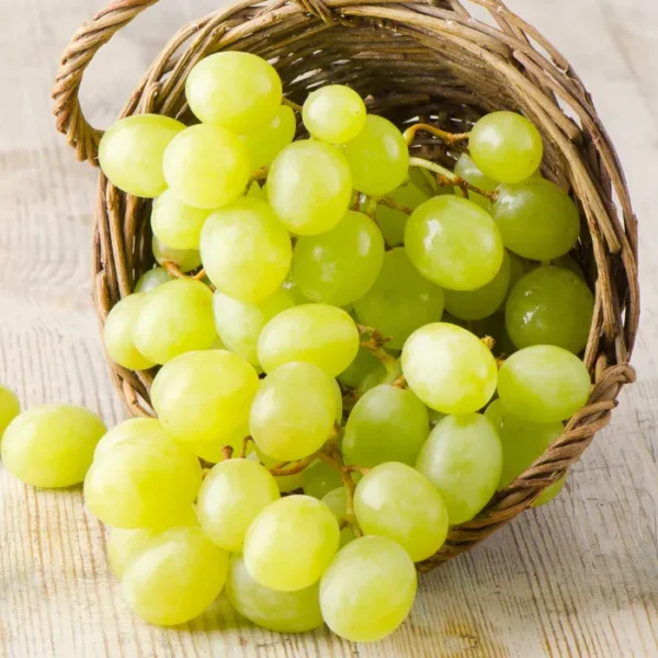 Grapes
