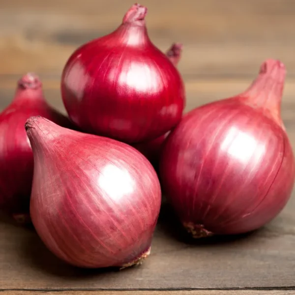 Onion