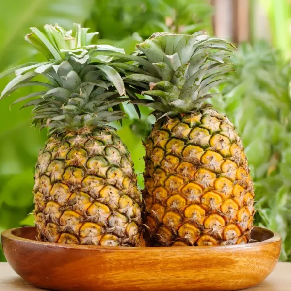 Pineapple