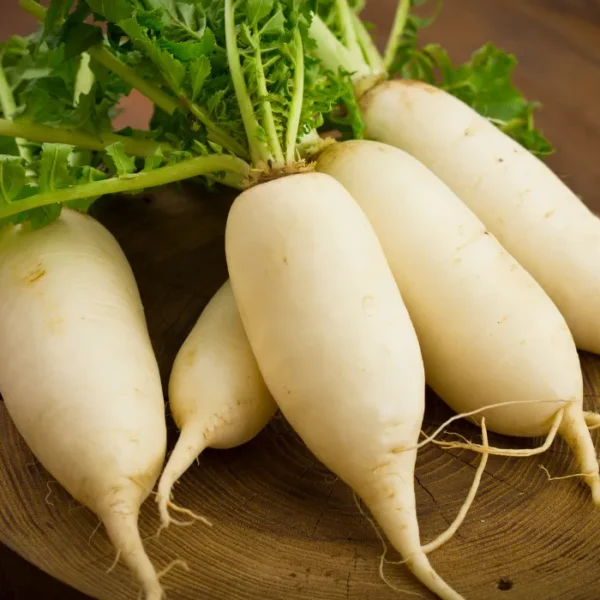 Radish