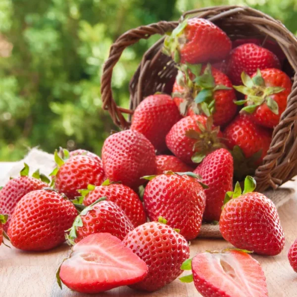 Strawberry