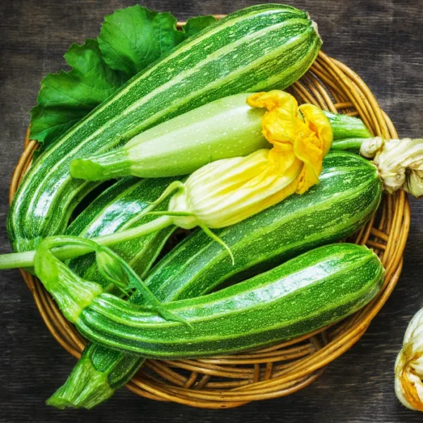 Zucchini
